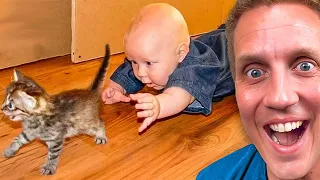 Cute Babies Playing With Dogs Compilation | Funny Baby And Pets