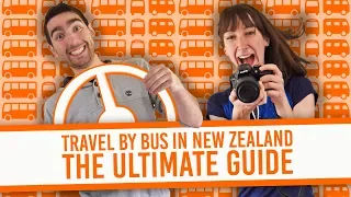 🚍🚌 Travel By Bus in New Zealand: The Ultimate Guide