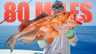 Catching HUGE Fish 80 Miles Offshore! (Panama City)