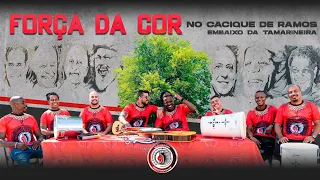 Grupo Força da Cor - Embaixo da Tamarineira |  Roda de Samba de Raiz no Cacique de Ramos
