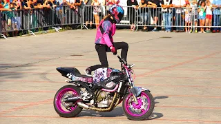 STUNT - Ewa Pieniakowska - Lwówek Śląski