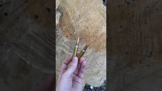 308 Wood Penetration Test