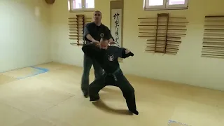 Gyokko ryu - Renyo (Takamatsuden)