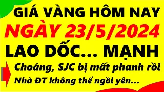 Giá vàng hôm nay ngày 23/5/2024 - giá vàng 9999, vàng sjc, vàng nhẫn 9999,...