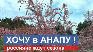 ТИХОЕ УТРО 🌞 на пляже "Кристалл-Уют" //#АНАПА + велопробежка по Пионерскому проспекту