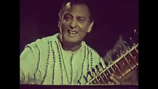 Ustad Rais Khan - Punjabi Dhun