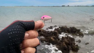 Uma pescaria de UltraLight na beira da praia usando apenas micro iscas.