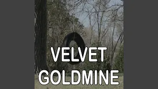 Velvet Goldmine - Tribute to David Bowie