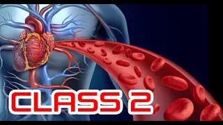 02. Human Physiology_ Blood & Circulation | Class 2 | Chapter 4 | Biology 2nd Paper