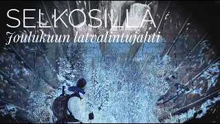 Joulukuun latvalintujahti | Selkosilla