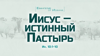 Проповедь: "Ев. от Иоанна: 55. Иисус – истинный Пастырь" (Алексей Коломицев)