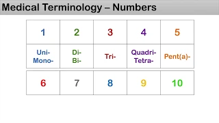 Medical Terminology - The Basics, Lesson 1.2 - Numbers