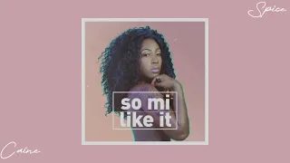 Spice - So Mi Like It - ( Caine Remix )