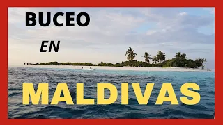BUCEO en MALDIVAS 2019, VIDA A BORDO en el YATE EMPEROR SERENITY