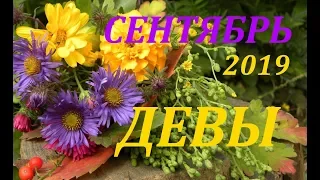 ДЕВЫ. СЕНТЯБРЬ 2019г. ПРОГНОЗ на МЕСЯЦ. + БОНУС!