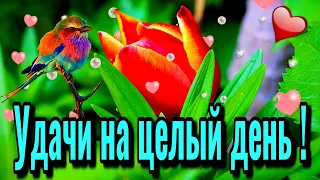 💗🌞🌺Доброго утра благословенного дня!🌷💓🌼Красивое музыкальное пожелание удачи🎵