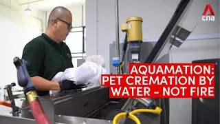 Aquamation: When a pet is cremated by water – not fire