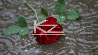 Running Out Of Roses (Karoviz Remix) - Alan Walker ft. Jamie Miller