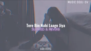 Tere Bin Nahi Laage Jiya - Male Version _ ( Slowed Reverb ) Music Soul-SV