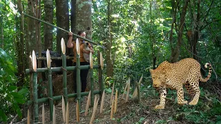 Black leopard attacks people, afraid of picking. Puppy rescue, survival instinct alone