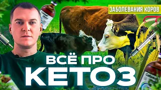 Всё про кетоз!