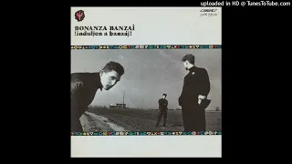 Bonanza Banzai - Induljon a banzáj! (David Costa Remix 2024)