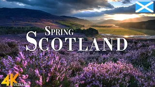 Spring Scotland 4K Ultra HD • Stunning Footage Scotland, Scenic Relaxation Film with Calming Music.