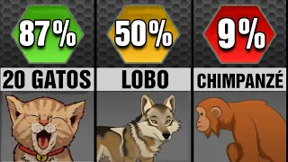 Chance de ganhar contra um ANIMAL (Segundo a ciência)