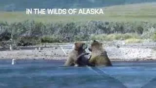 Alaska Kenai Peninsula Frontier Adventure