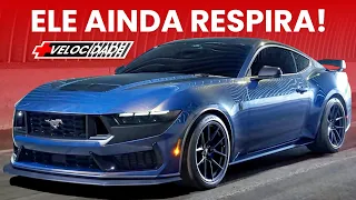 NOVO MUSTANG tem V8 Histórico! e será o +Potente já produzido pela Ford