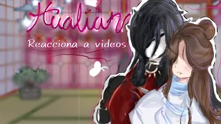 🌹☁--  Ship Hualian reacciona a videos --🌹☁// 🍡🍙Ti-Guan-Ci-Fu🍙🍡// Español 🇲🇽.