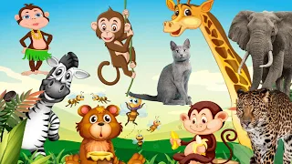 Cute Little Animals: Zebra, Penguin, Rabbit, Dog, Cat, Cow, Tiger | Animal Sounds
