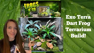 Exo Terra Frogs & Co dart frog build!