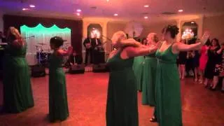 Bridesmaids Surprise Dance for Megan and Dan