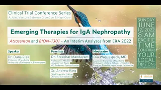 Emerging Therapies for IgA Nephropathy