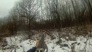 загонная охота на косулю.deer hunting