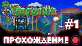 🔥Terraria #1 - Знакомство (Стрим-Прохождение)