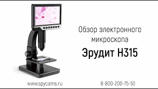 Обзор электронного микроскопа «Эрудит H315» (2000x - 1920х1080 / 12Mp)