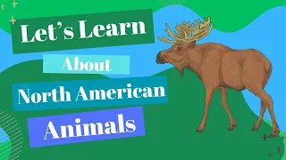 Learning Fun | Animals For Kids | Animal Facts #funkidsvideos #kidslearning #animalsvideo