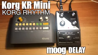 Korg KR Mini Drum Machine and  Moog Delay Patterns