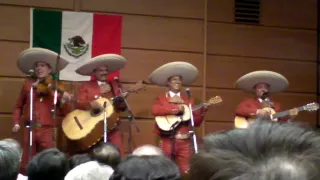 La Bamba, Mariachi Agave