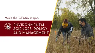 Study Environmental Sciences, Policy and Management