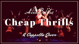 Cheap Thrills - Sia feat. Sean Paul (A Cappella Cover)