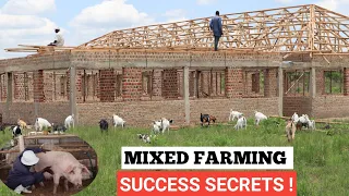 How To Earn MILLIONS From MIXED FARMING!