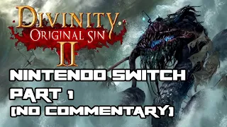 DIVINITY: ORIGINAL SIN 2 - DEFINITIVE EDITION for Nintendo Switch Part 1 (No Commentary)