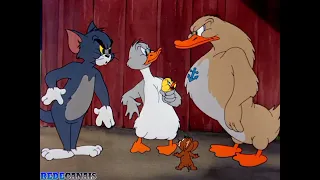 Tom e Jerry - O Patinho ( 1950 )