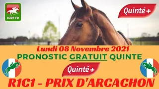 Minute Quinté TURF FR : PRIX D'ARCACHON - Lundi 08 novembre 2021 - PARIS-VINCENNES 🏇 PMU #258812