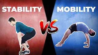 LOW BACK MOBILITY VS STABILITY