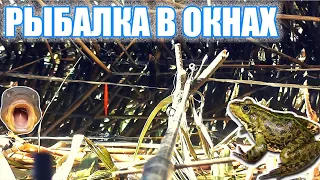 Рыбалка в камышах /ловля карася / рыбалка на поплавок