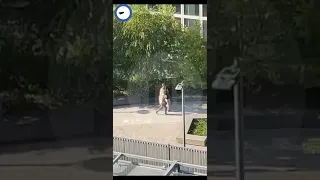 На территории посольства США в Москве задержали мужчину